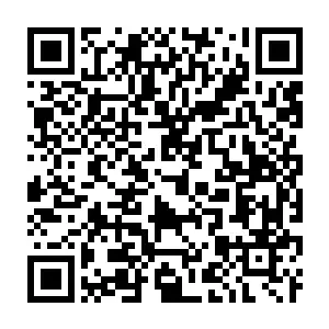 QR Code for AdjusterPro